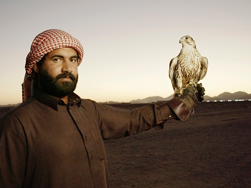 "حلفاء الطبيعة" وثائقي عن الصقارين بالمملكة العربية السعودية
